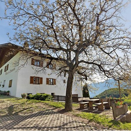 Moar im Rumsein - Apt Saltenblick Terlan Exterior foto